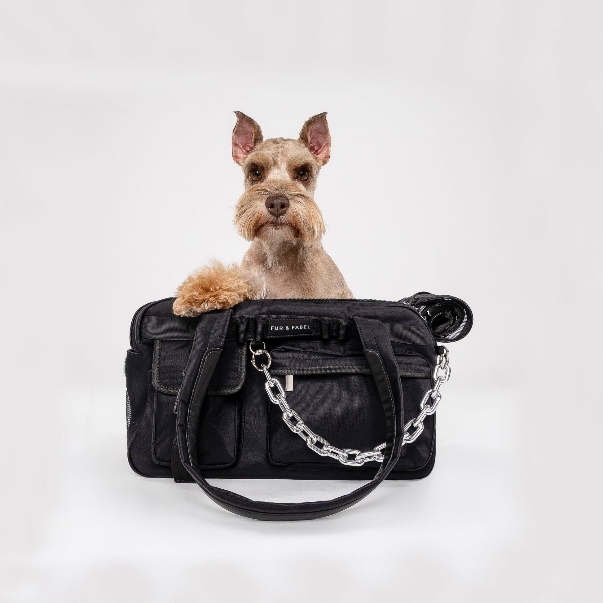 AERO Pet Carrier in Jet Black - FUR & FABEL
