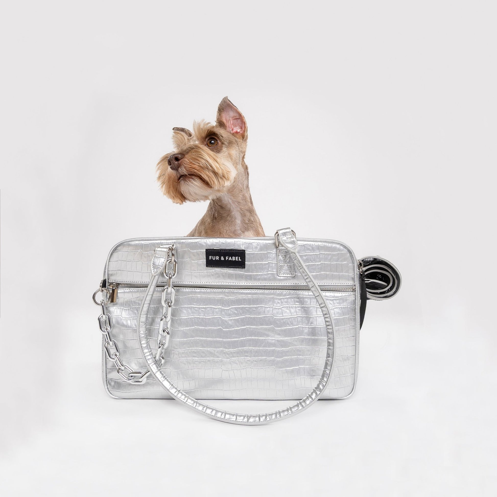 APEX Pet Carrier in Atomic Silver - FUR & FABEL