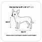 APEX Pet Carrier in Atomic Silver - FUR & FABEL