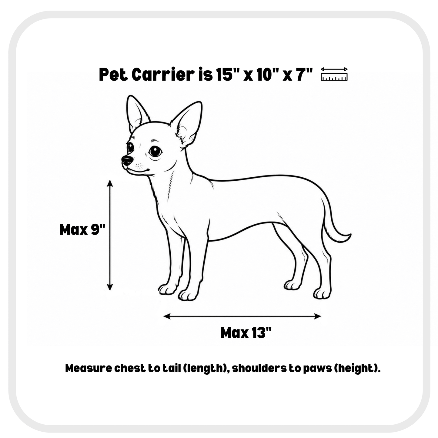 APEX Pet Carrier in Atomic Silver - FUR & FABEL