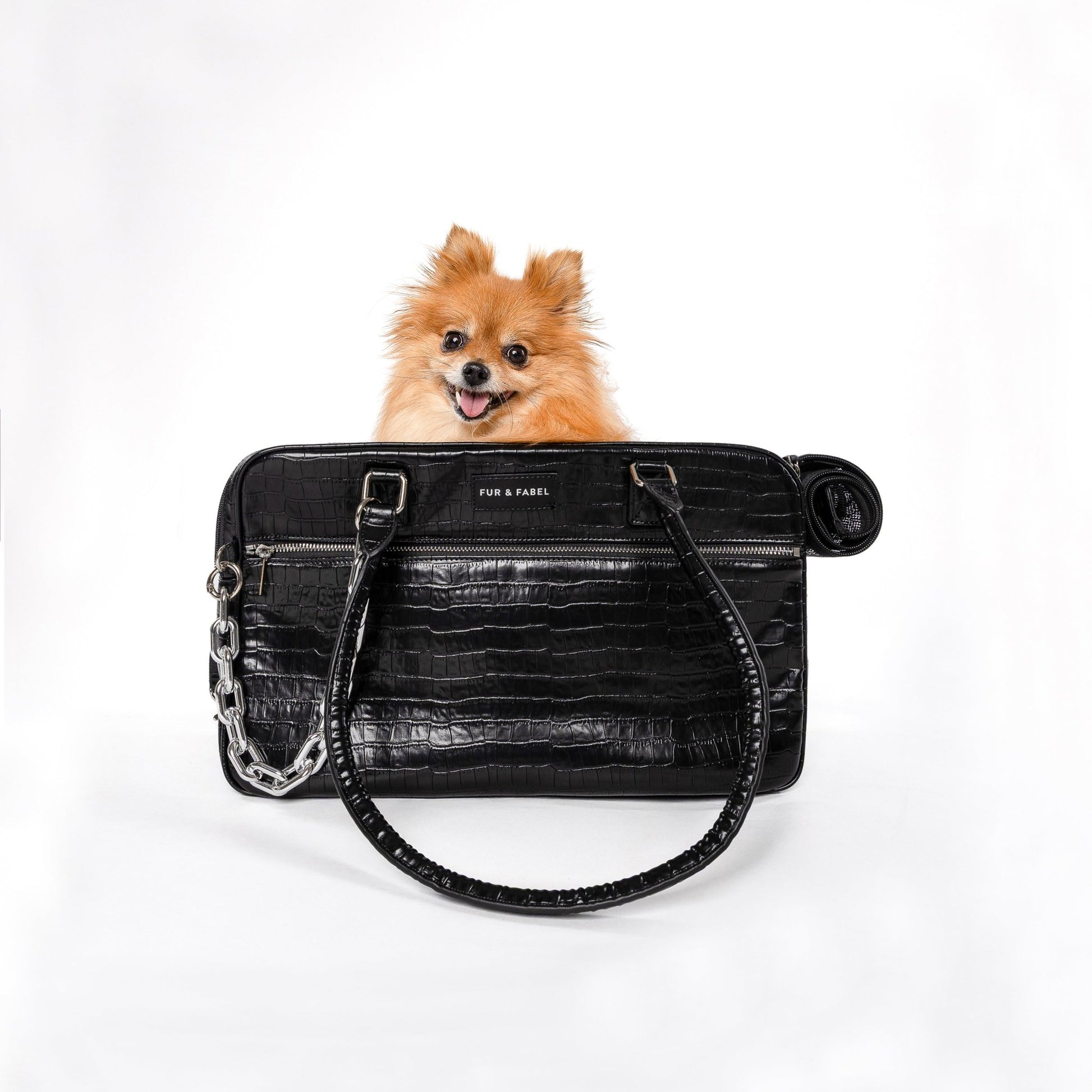 APEX Pet Carrier in Galaxy Black - FUR & FABEL